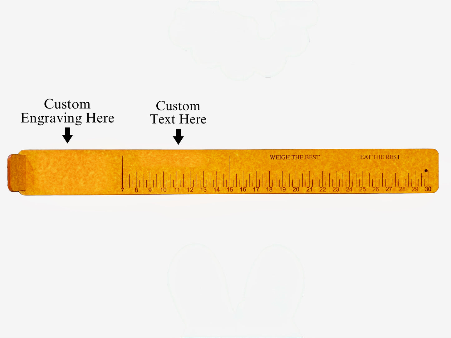 Fish Measuring Stick ~ Custom Version