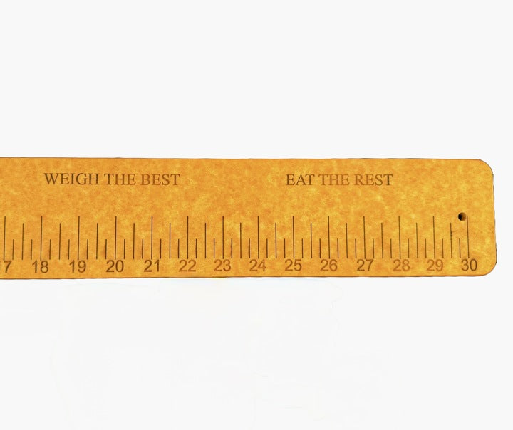 Fish Measuring Stick ~ Custom Version