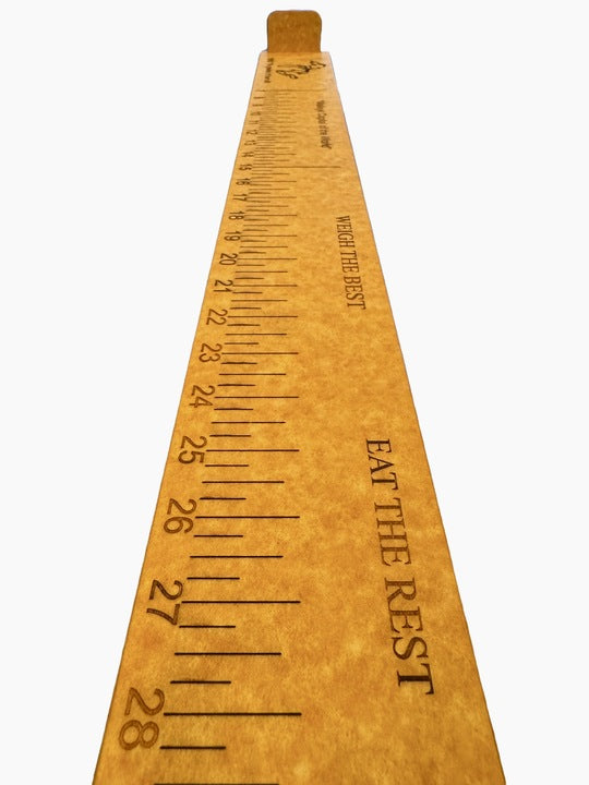 Fish Measuring Stick ~ Custom Version